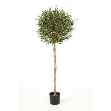 Künstlicher Olivenbaum PLATON, Echtstamm, mit Früchten, 140cm, Ø55cm