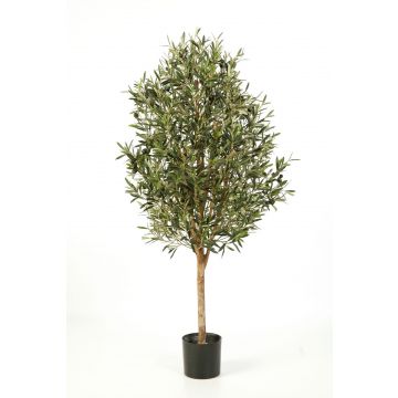 Kunst Oliven Baum PLATON, Echtstamm, mit Früchten, 140cm