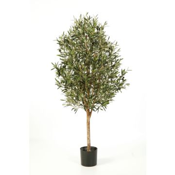 Kunst Oliven Baum PLATON, Echtstamm, mit Früchten, 170cm