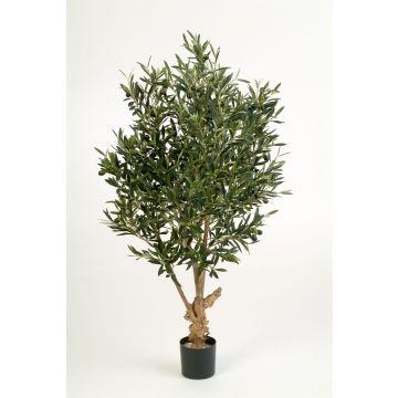 Kunst Olivenbaum ALEXANDROS, Echtstamm, mit Früchten, 120cm