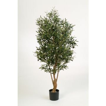 Kunst Olivenbaum ALEXANDROS, Echtstamm, mit Früchten, 150cm
