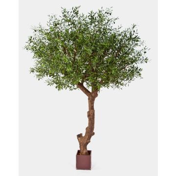 Künstlicher Olivenbaum NIKKOLAS, Naturstamm, mit Früchten, 270cm