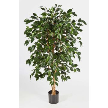 Künstlicher Ficus Benjamini DECIO, Naturstämme, grün, 180cm