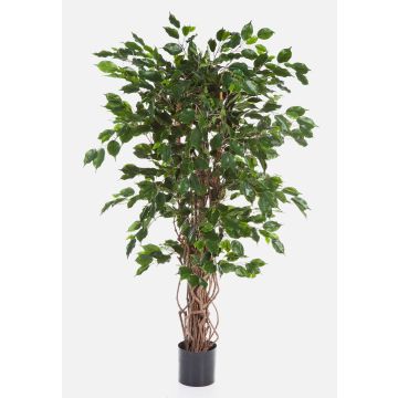 Künstlicher Ficus Benjamini AMELIO, Naturstämme, grün, 210cm