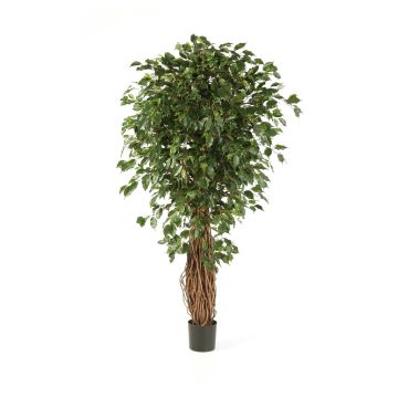 Künstlicher Ficus Benjamini LUCIUS, Echtstämme, grün, 120cm