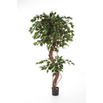 Künstlicher Ficus Benjamini LUANO, Naturstämme, grün, 180cm