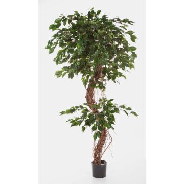Künstlicher Ficus Benjamini LUANO, Naturstämme, grün, 210cm