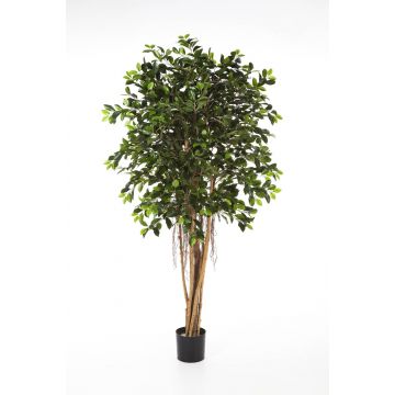 Künstlicher Ficus Benjamina AURIOL, Echtstämme, grün, 150cm