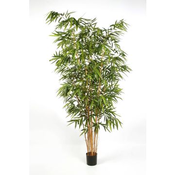 Kunstpflanze Bambus FUDO, Naturstämme, 240cm