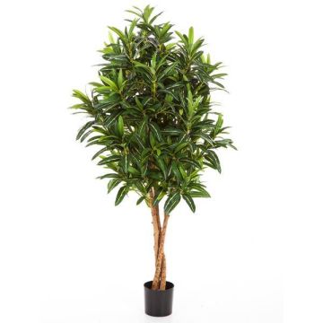 Künstlicher Longifolia Baum AVERY, Naturstämme, 105cm