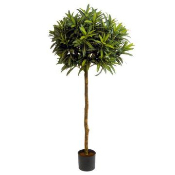 Künstlicher Longifoliabaum ISABELLA, Echtstamm, 150cm