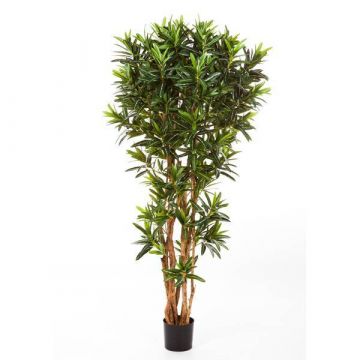 Künstlicher Longifoliabaum MIKE, Echtstämme, 150cm
