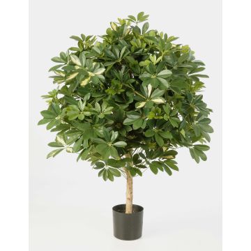 Kunstpflanze Schefflera Kugel ANTHONY, Naturstamm, grün-weiß, 110cm, Ø90cm
