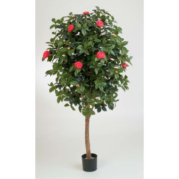 Kunst Camellia Japonica RIKA, Echtstamm, Blüten, pink, 170cm