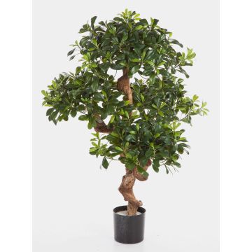 Kunstbaum Klebsamen ETHAN, Naturstamm, 120cm