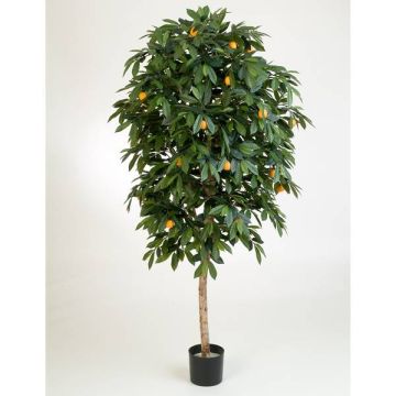 Künstlicher Orangenbaum CELIA, Echtstamm, mit Früchten, 110cm