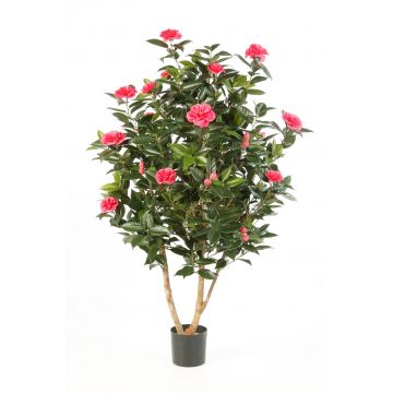 Kunst Kamelienbaum KAORI, Echtstämme, mit Blüten, pink, 150cm