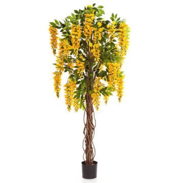 Kunst Goldregen ARIANA, Echtstämme, mit Blüten, gelb, 180cm