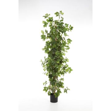 Kunstpflanze Weinrebe NIKA, Naturstämme, grün, 100cm
