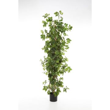 Kunstpflanze Weinrebe NIKA, Naturstämme, grün, 130cm