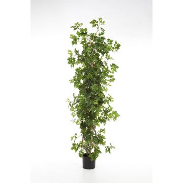 Kunstpflanze Weinrebe NIKA, Naturstämme, grün, 160cm