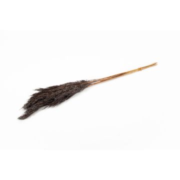 Getrockneter Schilf Bund DONJETA, braun-silber, 70-80cm, Ø15cm