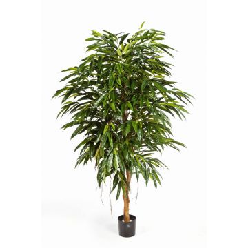 Kunstbaum Longifolia HISA, Naturstamm, 150cm
