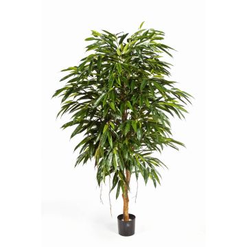 Kunstbaum Longifolia HISA, Naturstamm, 180cm