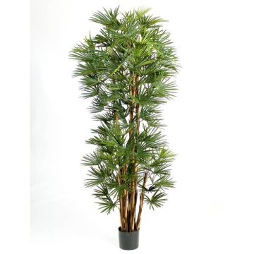 Künstliche Bambuspalme SERENA, 180cm