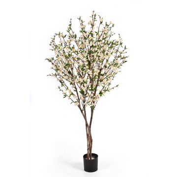 Künstlicher Kirschbaum ZADAR, Echtstämme, Blüten, weiß, 140cm