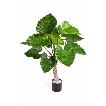 Kunstpflanze Alocasia Calidora SURI, grün, 80cm