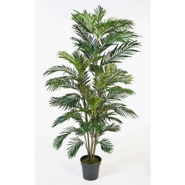 Kunstpalme Areca JENNICA, 180cm