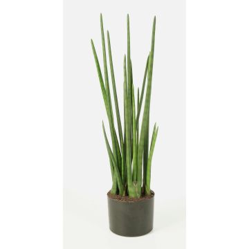 Kunstpflanze Sansevieria Cylindrica MERVE, grün, 100cm