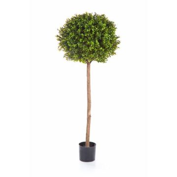 Künstlicher Buchsbaum TOM, Echtstamm, 140cm, Ø50cm