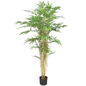 Künstlicher Baum Bambus WANNING, Echtstämme, 150cm