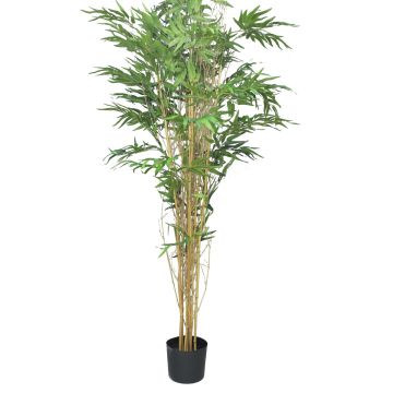 Künstlicher Baum Bambus WANNING, Echtstämme, 180cm