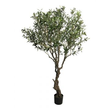 Kunstbaum Olive NINGMO, Kunststamm, Früchte, 200cm