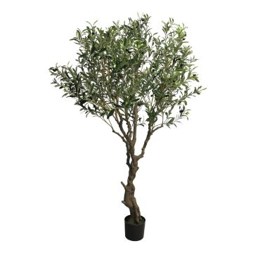Kunstolivenbaum NINGMO, Kunststamm, Früchte, 200cm