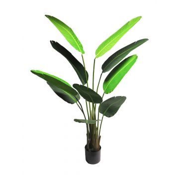 Kunstpflanze Strelitzie LUOROU, grün, 160cm