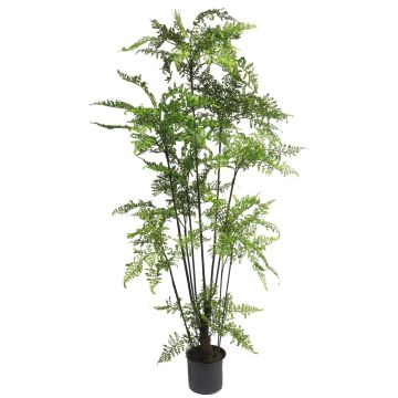 Fake Pflanze Lederfarn JIYANG, Kunststamm, grün, 150cm