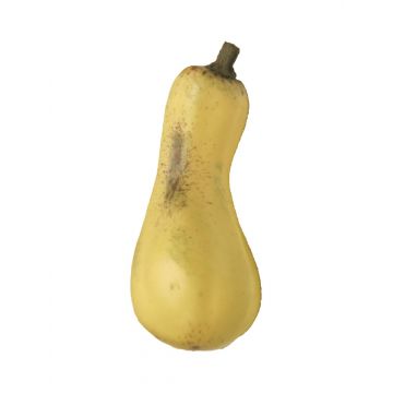 Deko Gemüse Butternut-Kürbis NAQIQI, gelb, 17,5cm