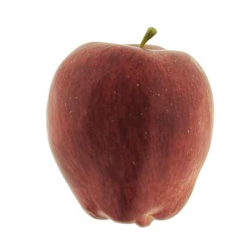 Künstliche Äpfel ANLONG, 6 Stück, rot, 9cm
