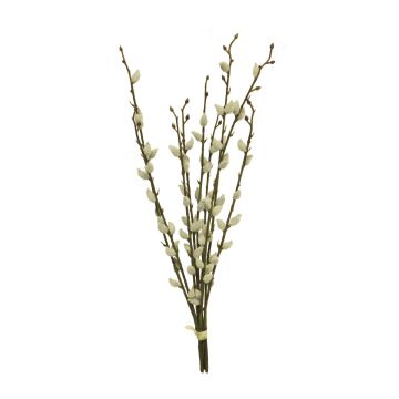 Deko Kätzchenweiden Bund NITSA mit Blüten, weiß, 55cm