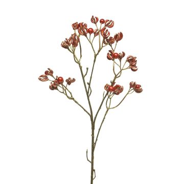 Deko Zweig Sedum pachyphyllum FANYU mit Perlen, rot-metallic, 75cm