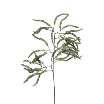 Dekozweig Korkenzieherweide KONGLI, Blüten, weiß-grün, 60cm
