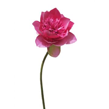 Künstliche Blume Lotusblume MENGLIN, pink, 50cm