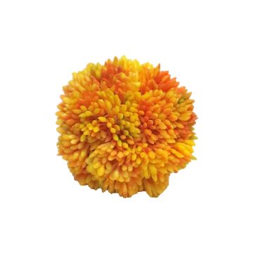 Deko Sedum rubrotinctum Kugel XULAN, orange-gelb, Ø6cm