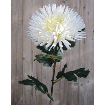 Künstliche Chrysantheme NANDOR, creme-weiß, 90cm, Ø18cm