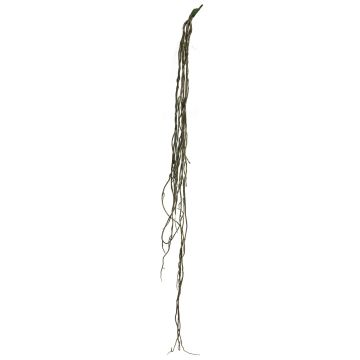 Deko Liane Philodendron Monstera Deliciosa LEIMA, Steckstab, schwarz, 110cm
