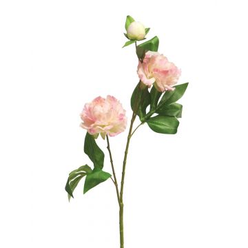 Dekozweig Pfingstrose YILING, rosa-weiß, 65cm